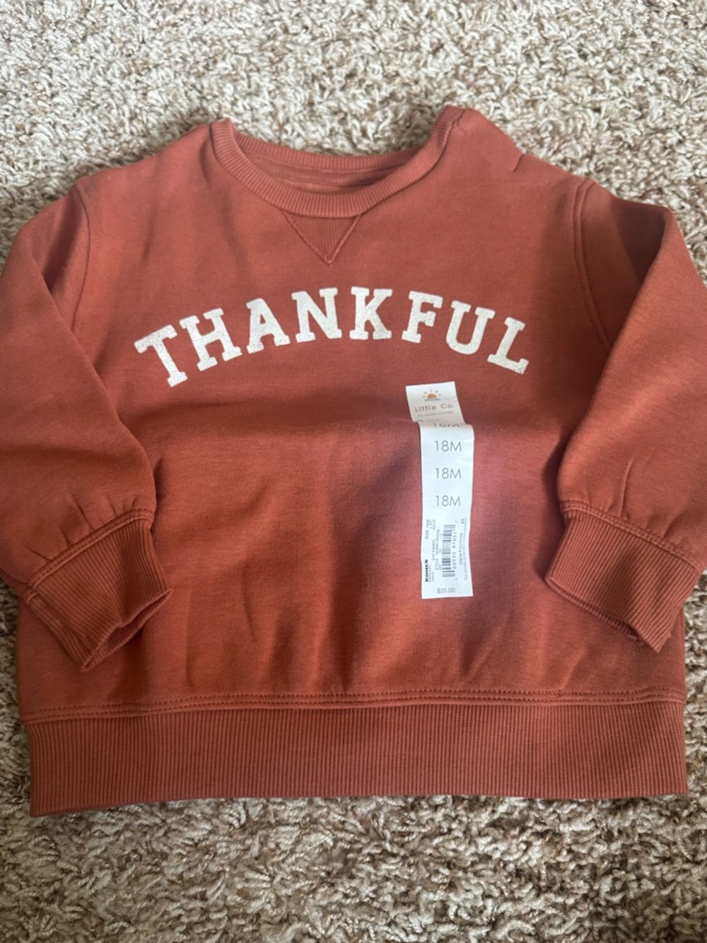 Little Co. Thankful Sweatshirt